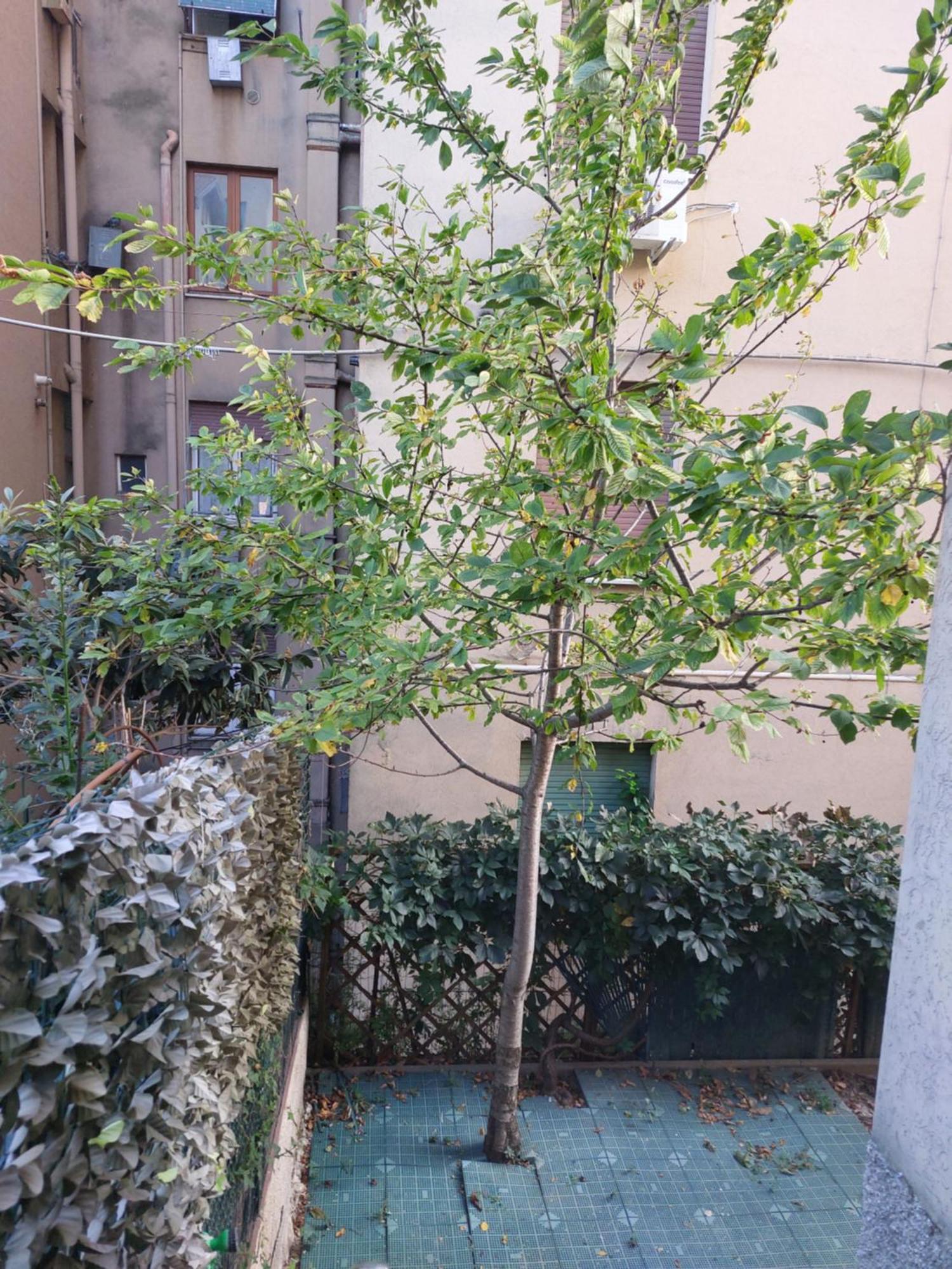 Il Ciliegio - Casa Vacanza Macerata Exterior foto